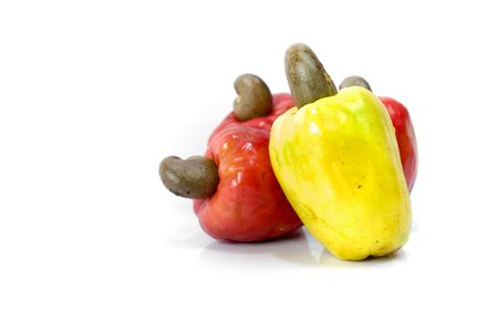 Tropical Cashew Fruit on white background .の写真素材