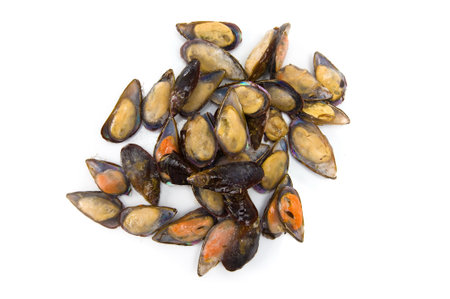 Sea food Raw Mussels still with the shell .