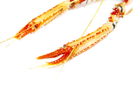 Detail of langoustine paw on white background の写真素材
