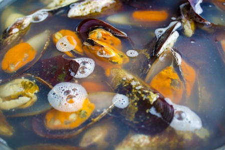 Raw Mussels with water for cooking .の写真素材