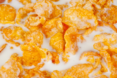 Cereal Flakes with milk background .の写真素材