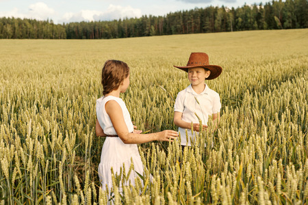 two children boy and girl examine ears of corn on a wheat fieldの写真素材