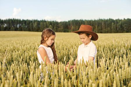 two children boy and girl examine ears of corn on a wheat fieldの写真素材