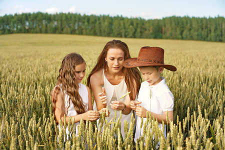 Family mom and two children boy and girl examine ears of corn on a wheat fieldの写真素材