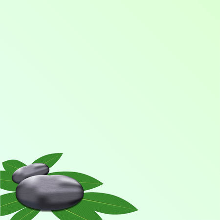spa leaves stone background to add textのイラスト素材