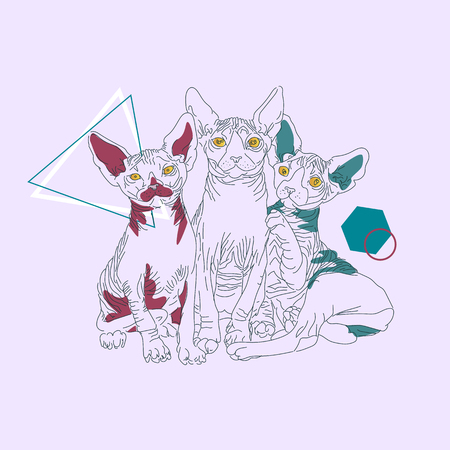 Three thin line cats with geometric Shapesのイラスト素材