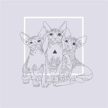 Three thin line cats with geometric Shapesのイラスト素材