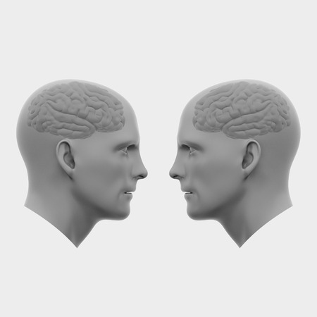 two male heads with brains facing each other. Minimalistic abstract art. Communication concepts. 3d rendering illustrationの写真素材