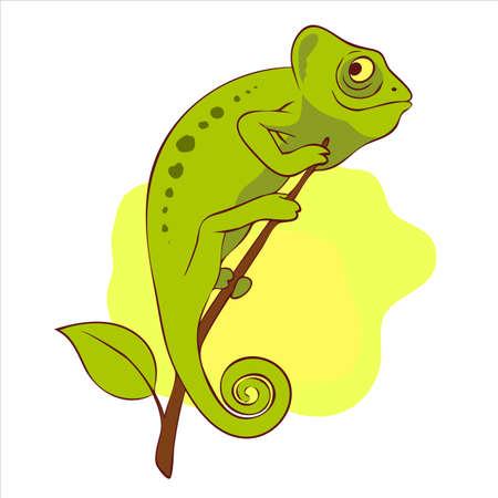 Cute chameleon on the branch vector illustrationのイラスト素材