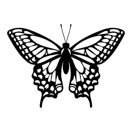 Butterfly stencil, vector illustrationのイラスト素材
