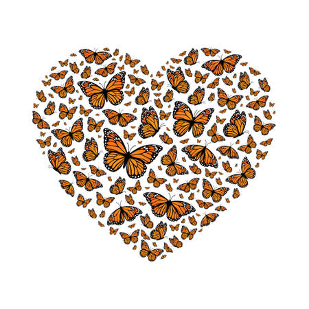 Heart shaped Monarch butterflies. Vector illustration isolated on white backgroundのイラスト素材