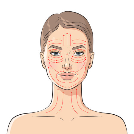 Face massage lines. Facial massage instructions, vector illustrationのイラスト素材