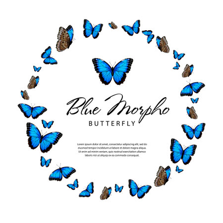 Blue morpho butterflies in the shape of a circle. Vector illustration isolated on white backgroundのイラスト素材