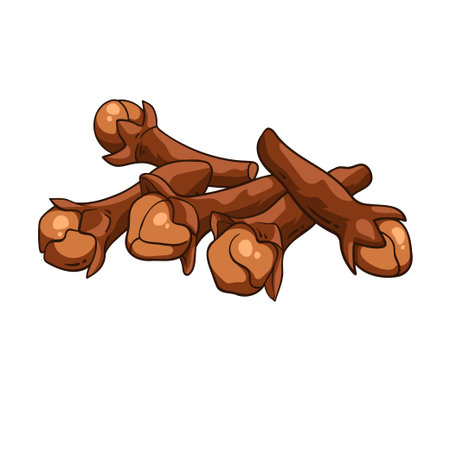 Dried cloves, herbs and spices, hand drawn vector illustrationのイラスト素材