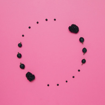 circle made of fruits,on bright pink background. organic blackberries and blackcurrant.from above.