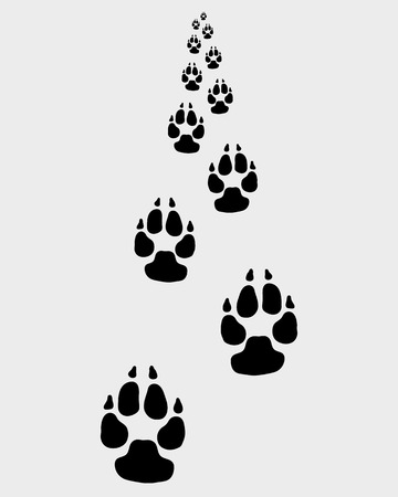 Black footprints of dog, vector illustrationのイラスト素材