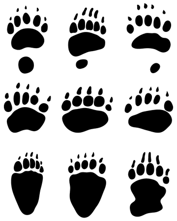 Black print of bear's paw, vectorのイラスト素材