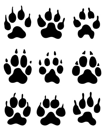 Black print of wolf paw, vectorのイラスト素材