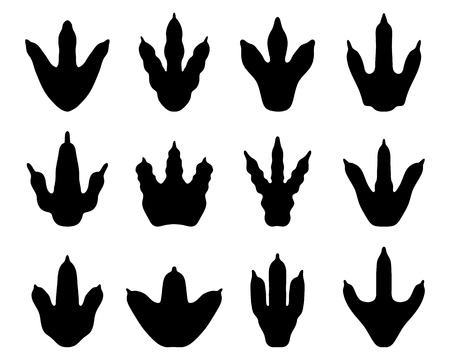 Black different footprints of dinosaurs, vectorのイラスト素材
