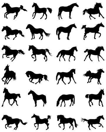 Big set of horses silhouettesのイラスト素材
