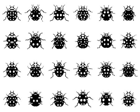 Set of different black ladybugs on a white backgroundのイラスト素材