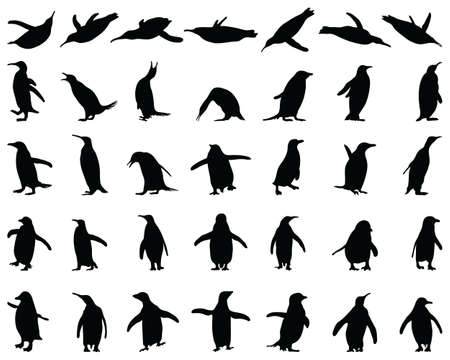 Black silhouettes of penguins on a white backgroundのイラスト素材