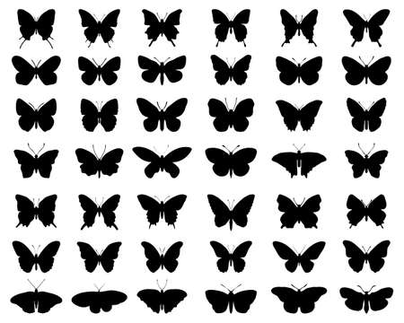 Black silhouettes of butterflies on a white backgroundのイラスト素材