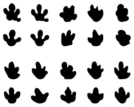 Black footprints of tapir on a white backgroundのイラスト素材