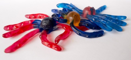 Jelly octopusの写真素材