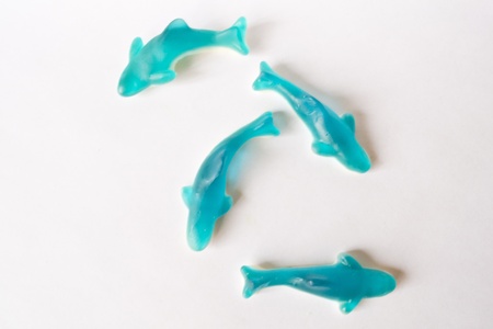 Jelly snakesの写真素材