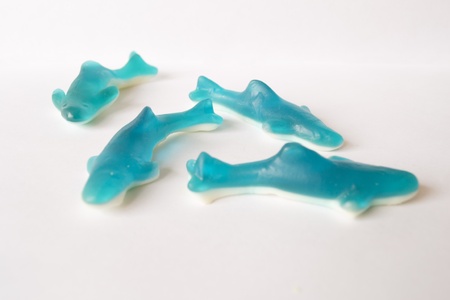 Jelly sharksの写真素材