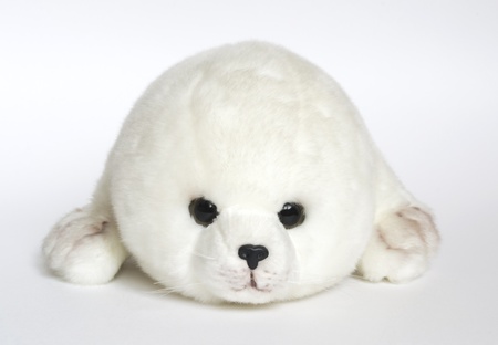 toy young seal on white backgroundの写真素材