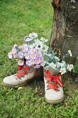 Flowers in old shoes の写真素材