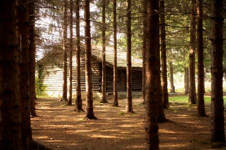 small wooden  cottage in forest, sunny  autumn dayの写真素材