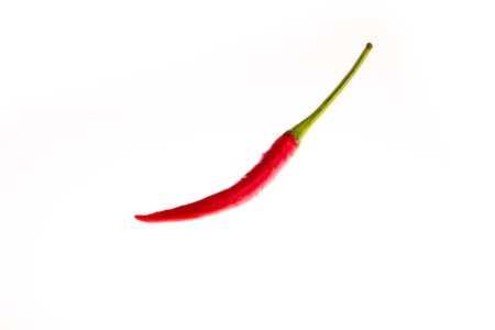 red hot chili pepper on white backgroundの写真素材