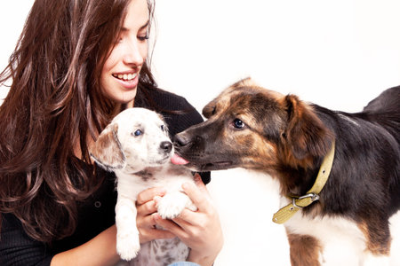 young woman play with two dogs, studio shot