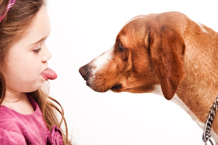 girl and dog studio shotの写真素材