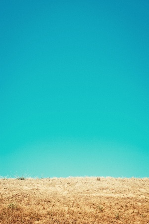 blue clear sky and dry yellow grass, summer day, landscape, small amount of grain addedの写真素材
