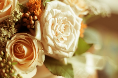 white and yellow  rose with small decorative flowers closeupの写真素材