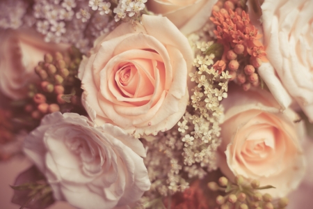 bouquet of  beautiful white and peach roses with small decorative flowers closeupの写真素材