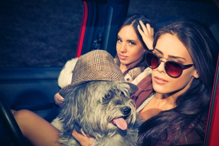 couple of girls in car take fun with their little dogsの写真素材