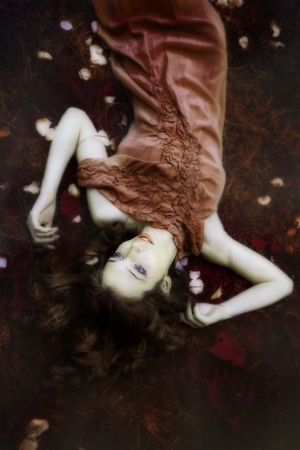  fairy lie on fantasy field in elegant golden dress の写真素材