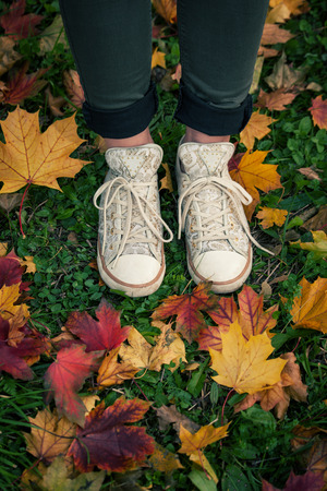 young girl in sneakers stand on grass with red and yellow fallen leaves, autumn concept, shot from aboveの写真素材
