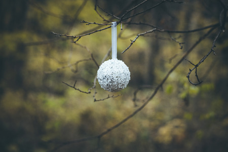 Christmas white ball hanging on tree branch closeupの写真素材