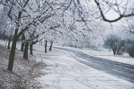 frozen path and trees cold winter dayの写真素材