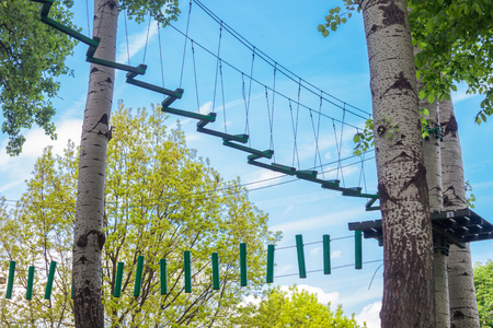adventure park in forest on tree topの写真素材