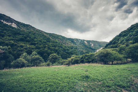 green valley and wood  in a mountain area landscapeの写真素材