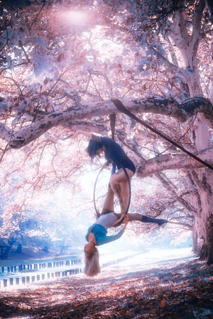 two women aerial hoop  dance in forestの写真素材