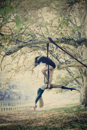 two women aerial hoop  dance in forest の写真素材