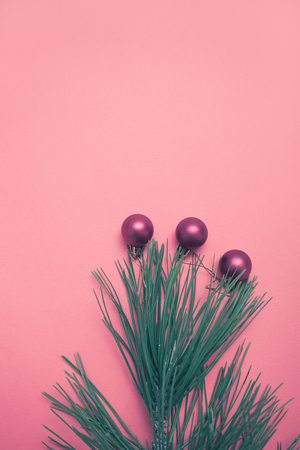 evergreen  branches with ornaments Christmas and New Year  minimal backgroundの写真素材